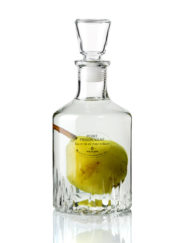 Jacoulot-eau-vie-poire-prisonnière